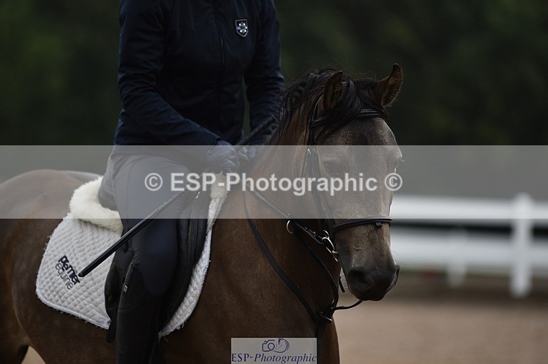 220829A-161950-00195 - 70cm Classes 3a 3b & 4