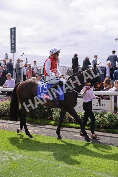 yr17082022r1-026 - Race 1 1.50pm Sky Bet & Symphony Group Stakes