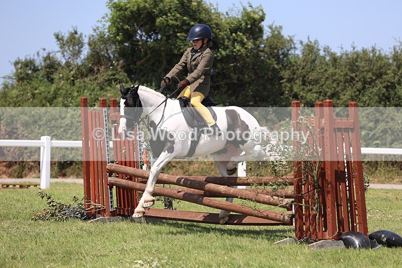 JPP_3100 - Class 22: Working Hunter 70cm
