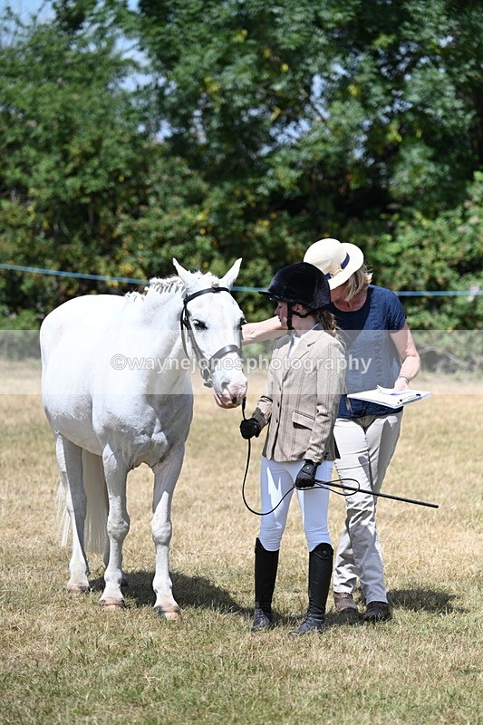 WJ7_2188 - Class 5 Most Handsome Gelding (up to 14.2hh) in hand