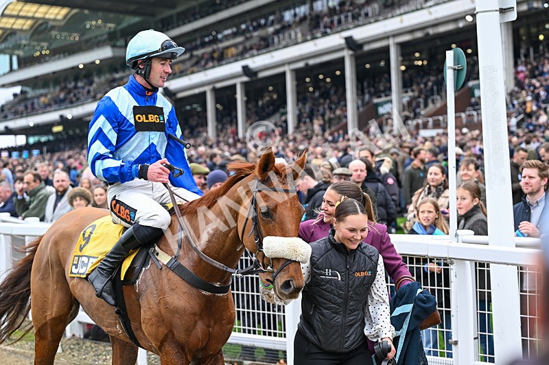 151125-Race 1-One Horse Town-2227 - Race 1