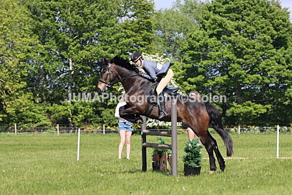 IMG_4768 - Working Hunter