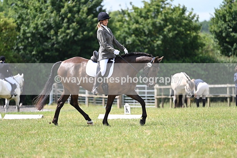 WJ7_4815 - Time 11:22 to 11:51