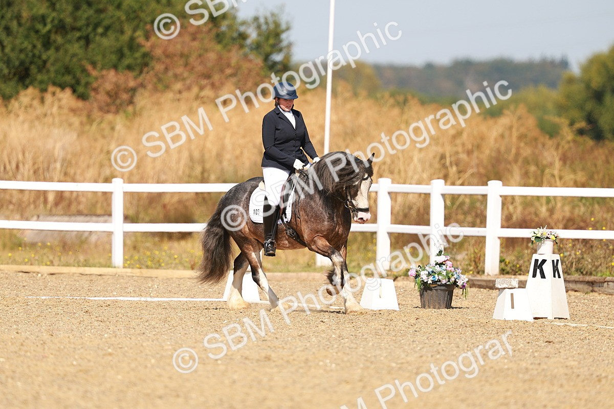 SBM_017773 - Class 9 - N5 Bronze 10.33.11.36