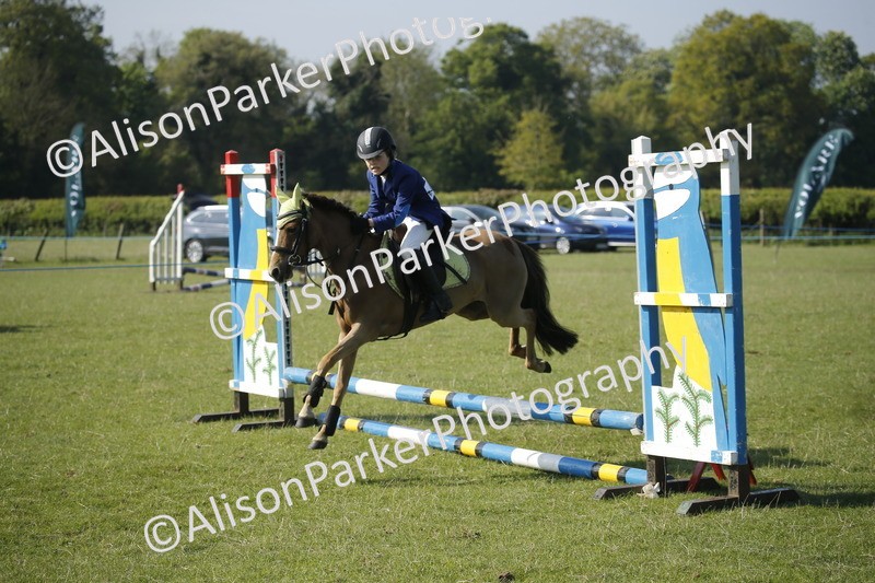 20250427-0366 - Class 12 - Rookie Jumping 40cm