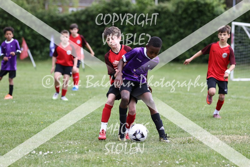 1DX31360 - Brook Field V Goddard Park
