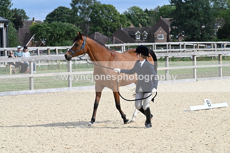 WJ7_8260 - Time 16:10 to 16:25