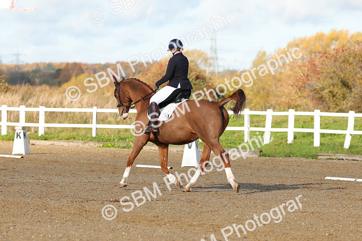 SBM_000554 - Novice 4