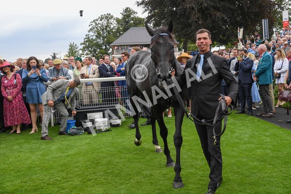 230823-Race 4-Mostahdaf-0413 - Race 4 3.35pm Juddmonte International Stakes