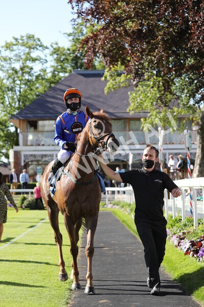 yr12062021r7-33 - Race 7 5.25pm Sky Bet Stakes