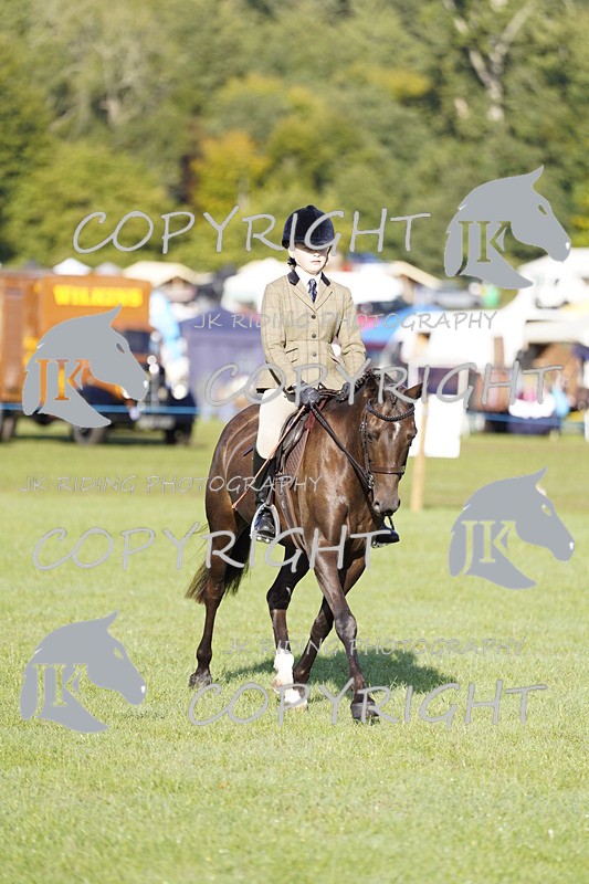 _DSC9421 - Class 8 & 17 Ridden Hunter & Ridden Hunter Pony