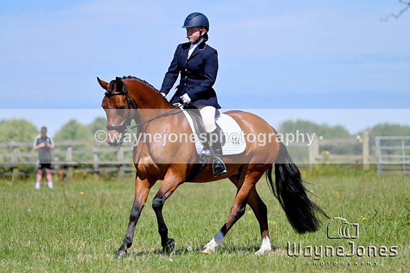 WJ7_0273 - Edited examples