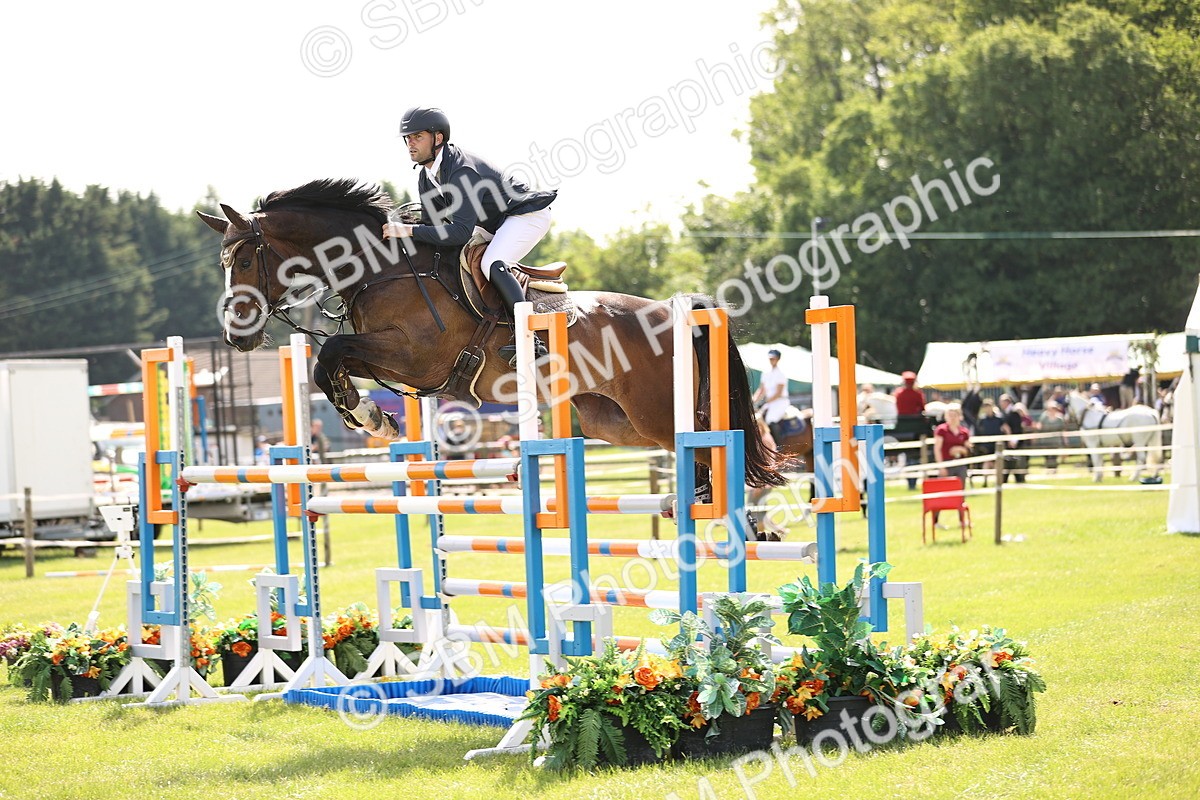 SBM_03013 - Class 201 - British Horse Feedds Speedi Beet HOYS Grade C