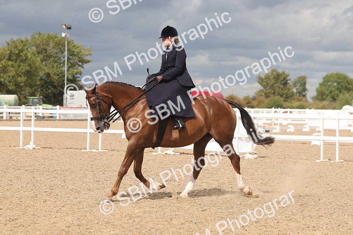 SBM_06365 - Class 22 - SSA - Equitation