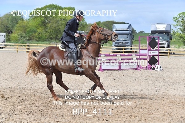 BPP_4111 - CLASS 5 Veterans Show Jumping