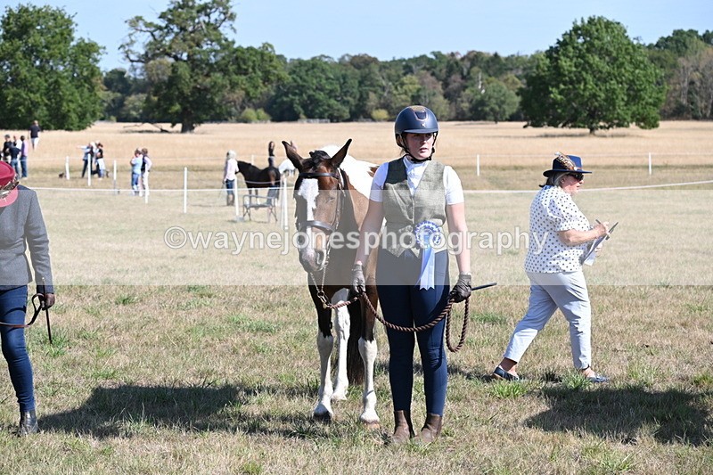 WJ6_4338 - Class 16 Condition & Turn Out