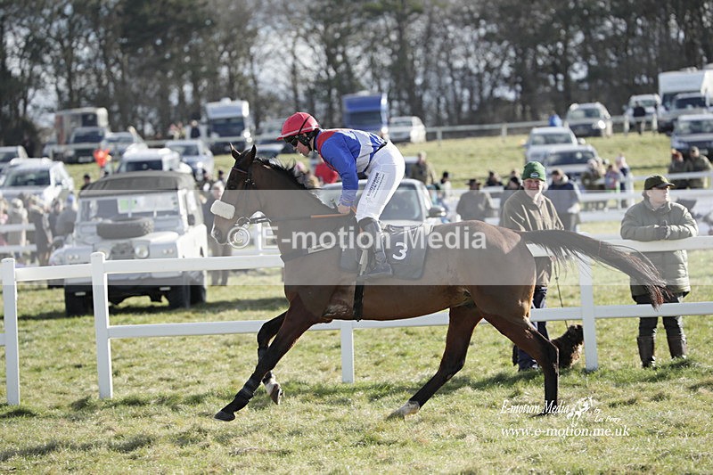 PtP 260223 890 - South & West Wilts Point-to-Point Larkhill 26/02/23
