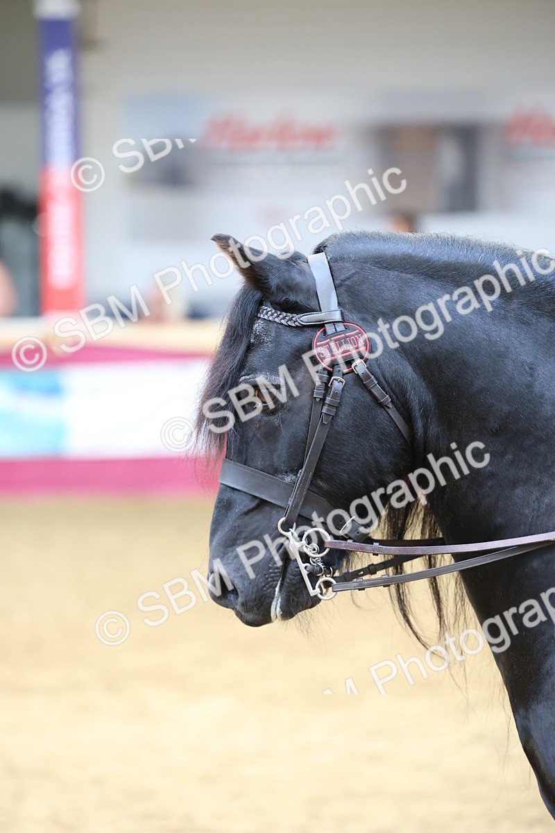 SBM_24066 - Class 905 - Supreme Final - Ridden Veteran