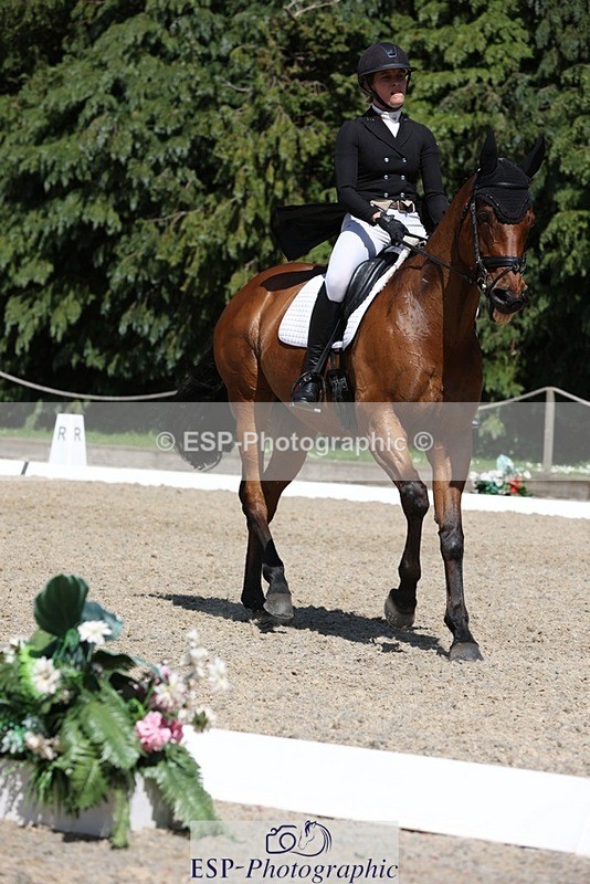 230526-150414-06617 - 377-GOLD_NUGGET-Jillian_Giessen-WEDTrotUp+DR