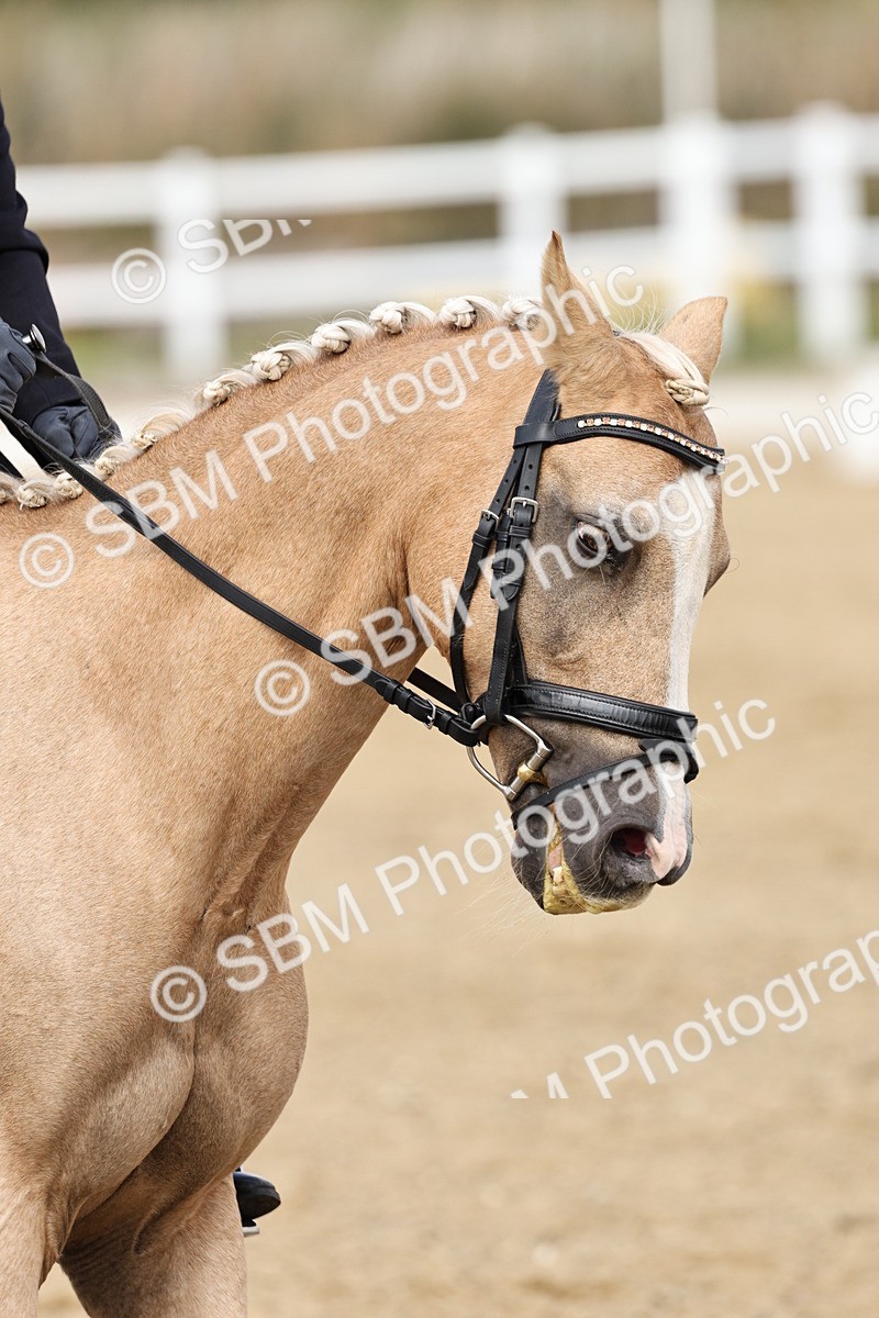 SBM_018216 - Class 16 - Novice 5 - 11.12-12.01