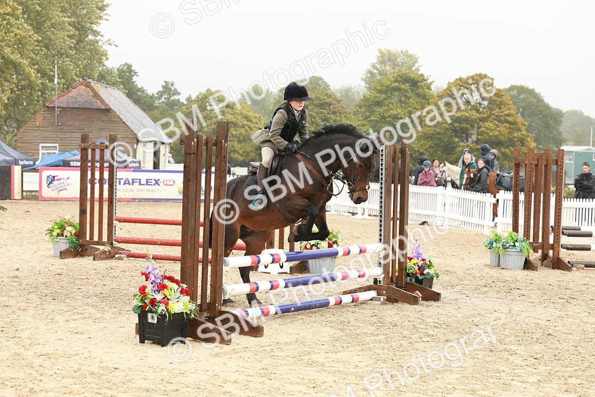 SBM_73289 - Supreme Championship Junior Pony 60cm & 65cm