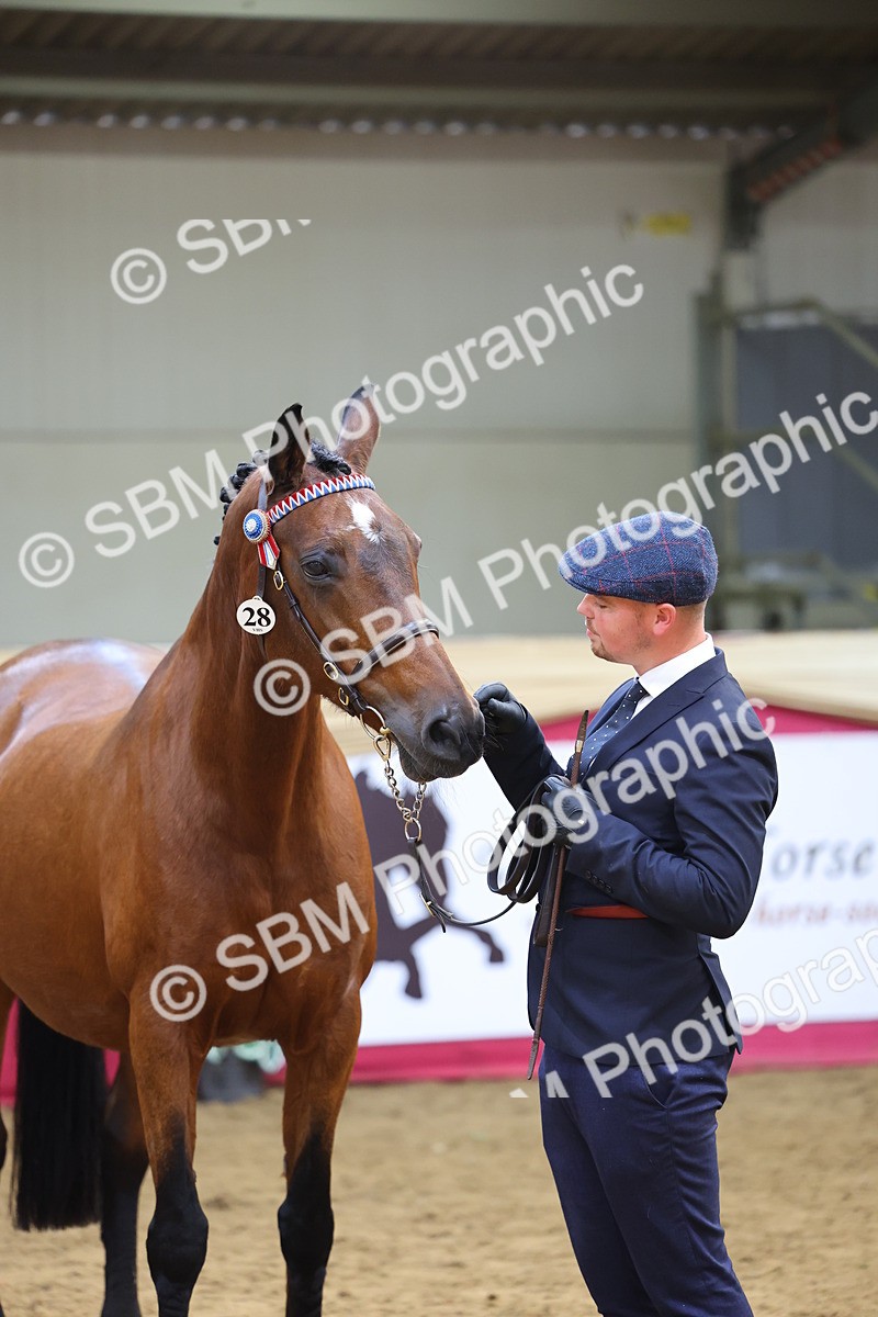 SBM_23235 - Supreme Final - IH Champion