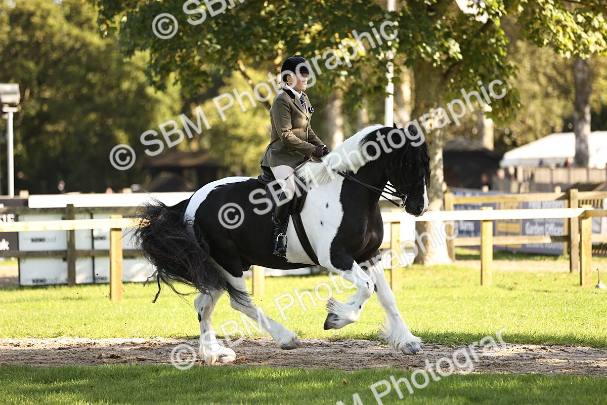 SBM_16934 - S2 - TSR Ridden Pony Showing