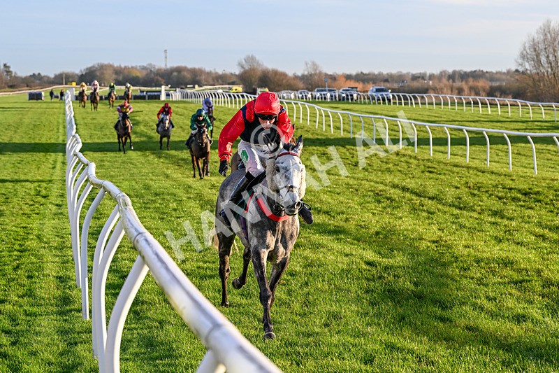 161225-Race 5-Somebodycomegether-8883 - Race 5