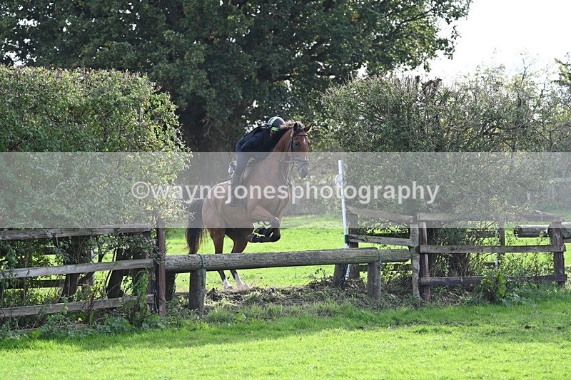 WJ7_0966 - Time 14:27 to 15:11