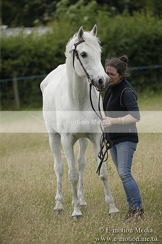 B230619-0586 - Bourne Valley Riding Club Summer Show 23/06/19