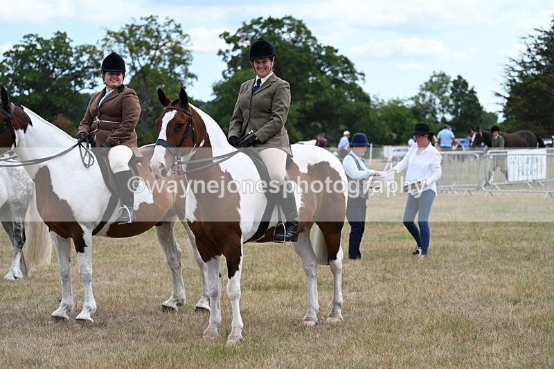 WJ7_5488 - Class 12 Ridden Cob