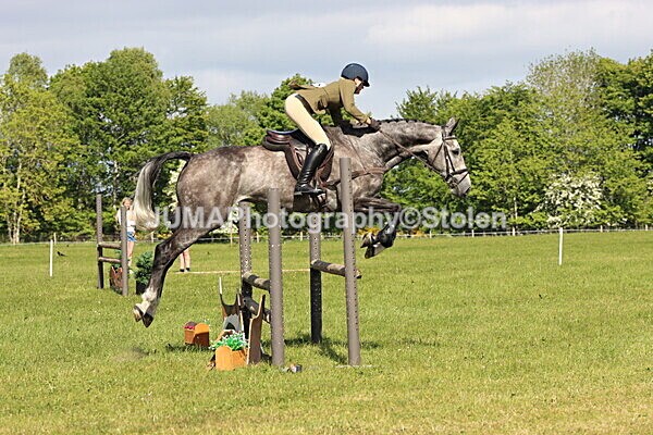 IMG_4849 - Working Hunter