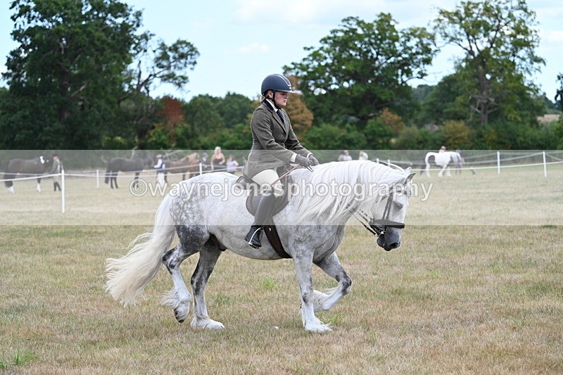 WJ7_5292 - Class 12 Ridden Cob