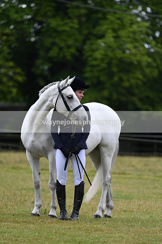 WJ7_6353 - Class 4a Prettiest Mare over 14hh