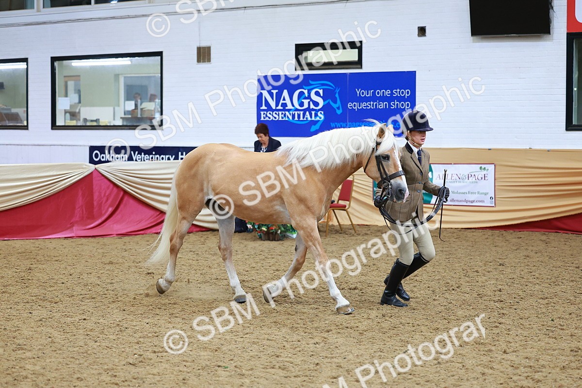 SBM_09817 - Class 102 - HOYS Veteran Qualifier - Ridden Veteran
