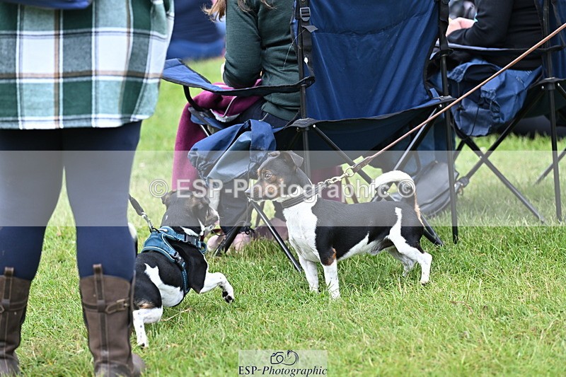 250525A-095310-15747 - Western Counties Crowds