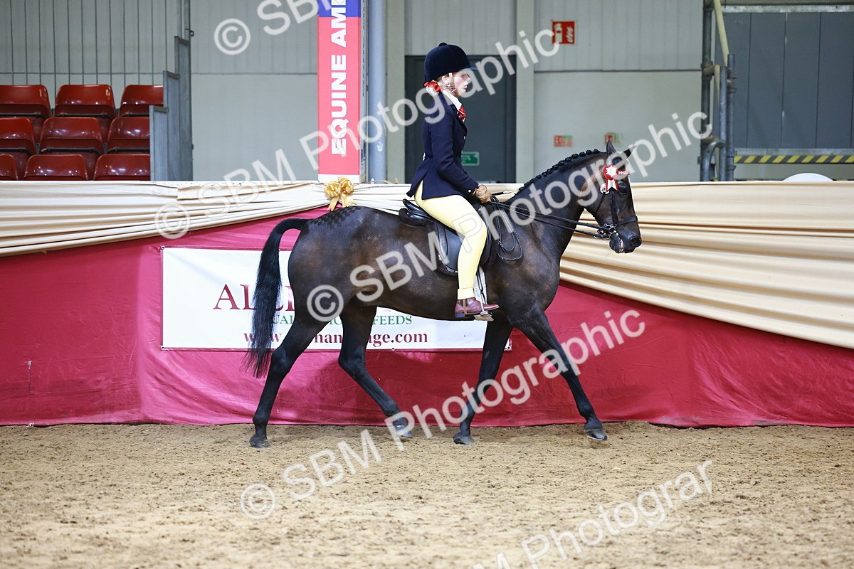 SBM_23237 - Class 904 - Supreme Final - Ridden Diamond