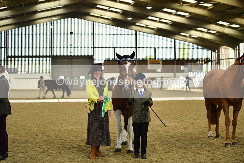 WJ5_4136 - Class 2 Best Condition In hand