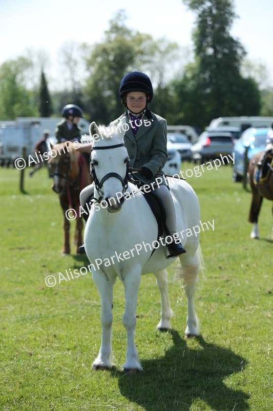 20250427-2677 - Class 6 - Pony Judge Would Most Like To Take Home