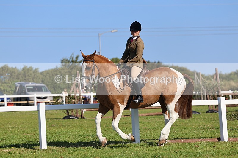 IMG_1432 - Class 29:  Ridden Native/Trad Coloured Horse