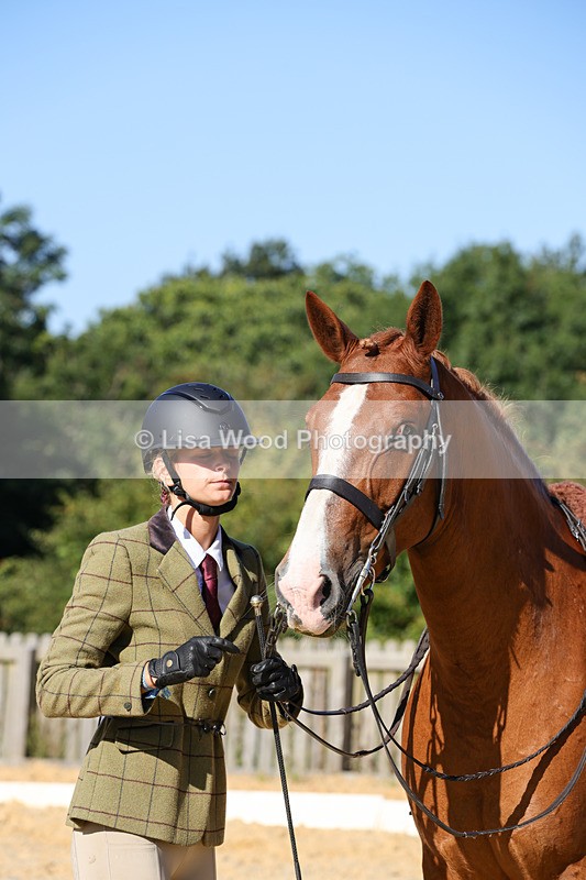 1X9A7812 - Class 9: Open Ridden Hunter