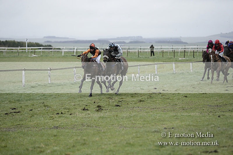 PtP 150320 0215 - New Forest Point-to-Point Larkhill 15/03/20