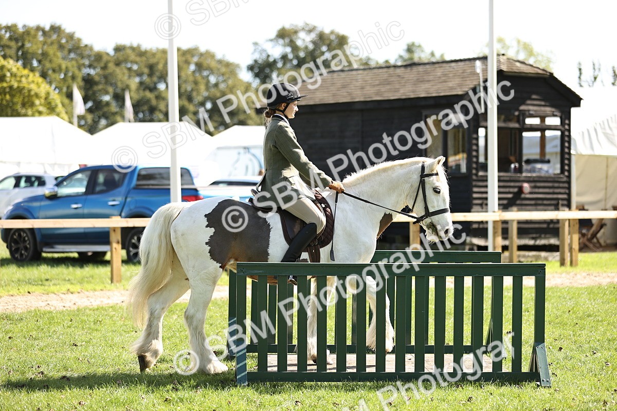 SBM_23009 - S4 - Have a Go at Working Equitation