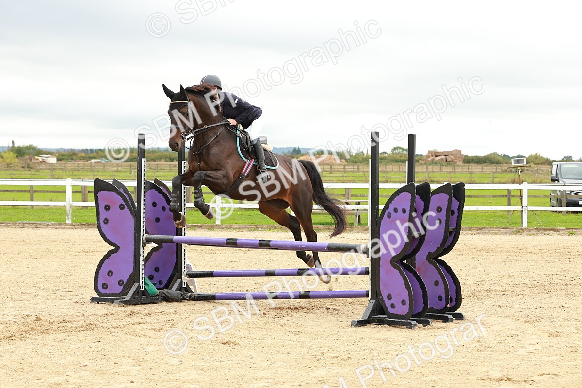 1I0A6934 - Class 2 - Senior British Novice