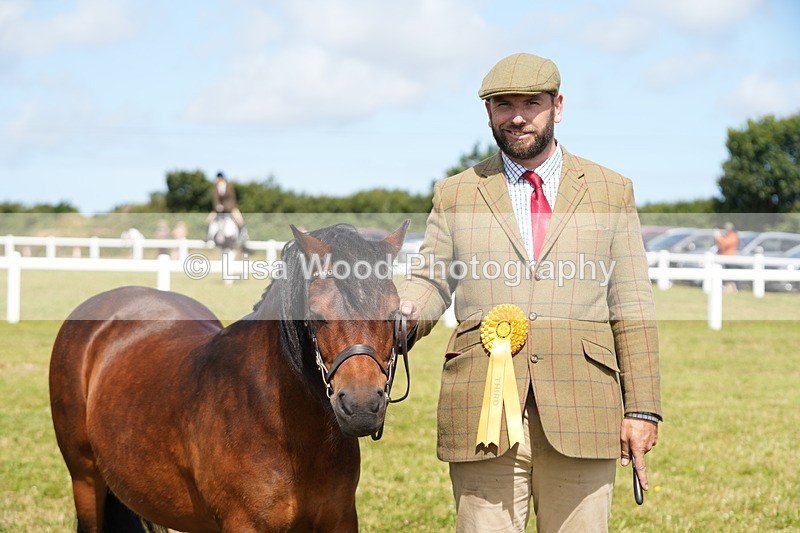 DSC05627 - Class 50: NPS M&M 4 years and over Small Breeds