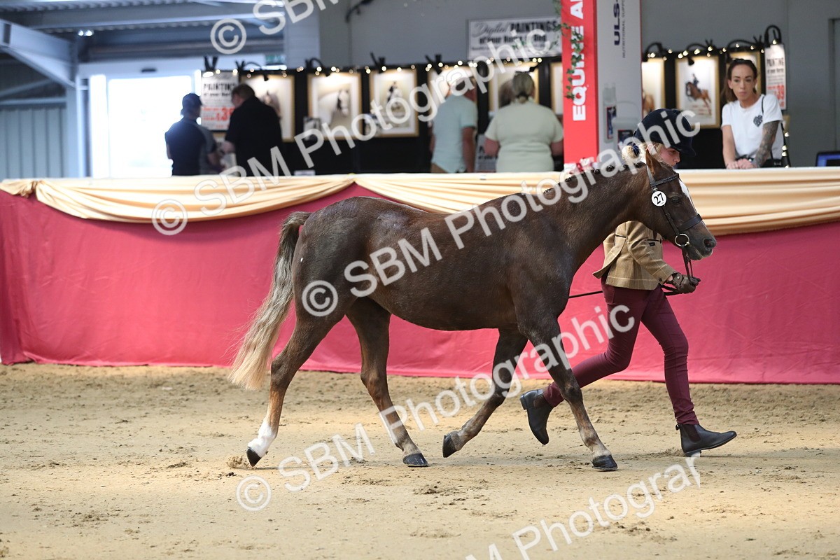 SBM_04309 - Class 7R Regional - IH Diamond