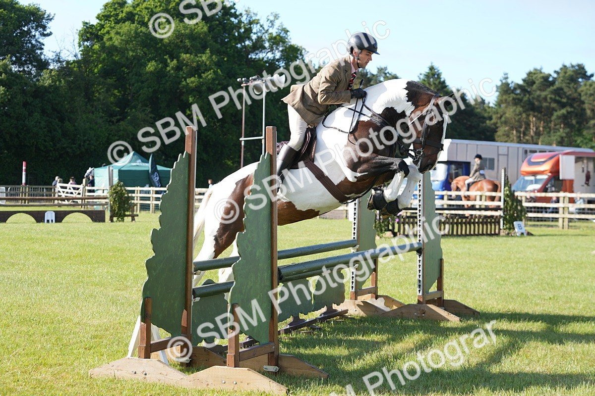 SBM_10536 - Class 97-98 - LIHS BSHA Rising Star Working Show Horse Hunter