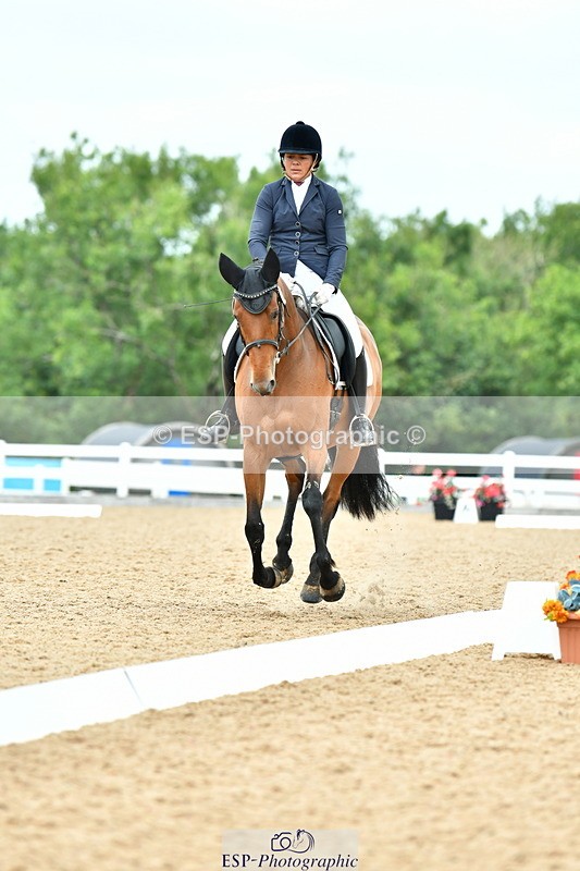 230702A-124029-09685 - Cls 28 Elementary 45