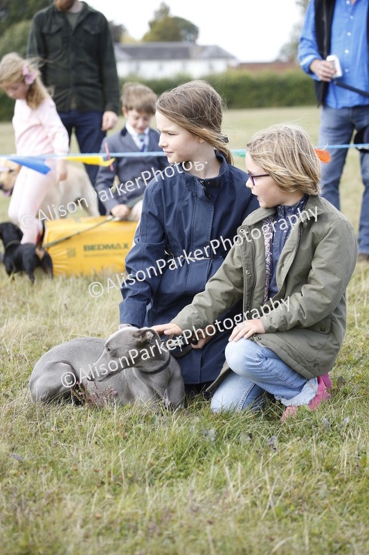 20250831-3636 - Dog Show