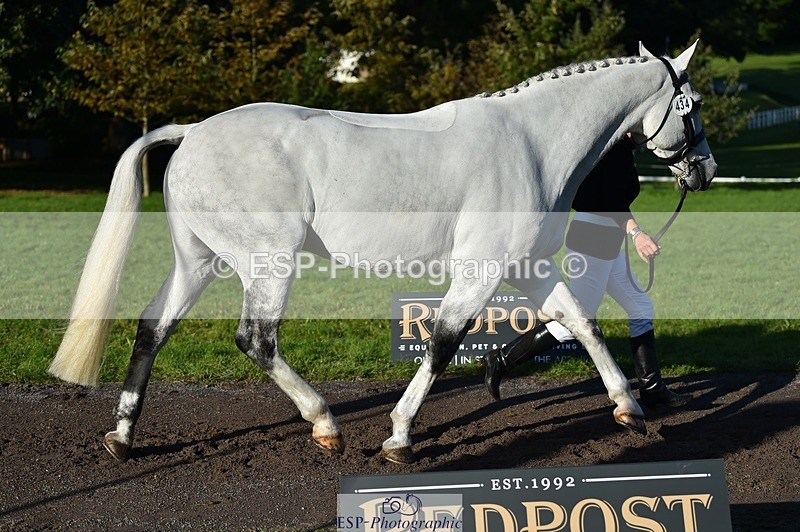 231022-095734-22140 - 434-SPINK.BUSTER-Sue.Parkes-TrotUp+SJ